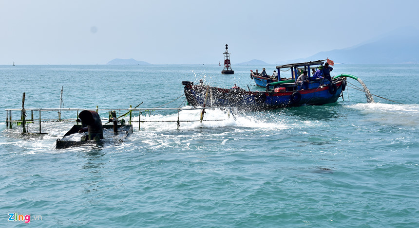 Xẻ thịt tàu hàng triệu đô chìm ở biển Quy Nhơn bán phế liệu